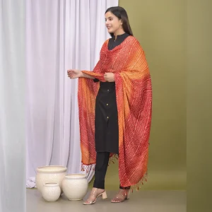 Rajasthani Red Bandhej Chinon Silk Scarves - Image 4