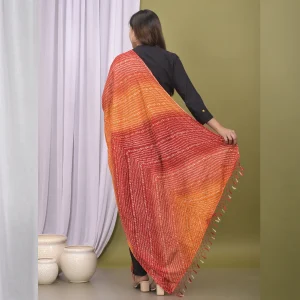 Rajasthani Red Bandhej Chinon Silk Scarves - Image 6