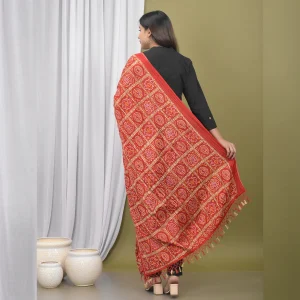 Red Chinon Silk Dupatta With Beautiful Tassel - Image 6