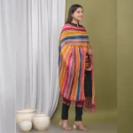 Women Multi Color Bandhej Dupatta - Image 4