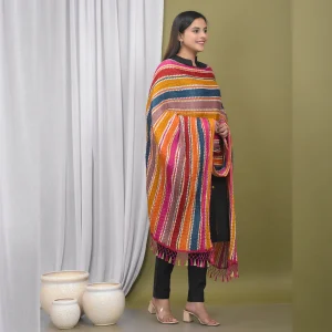 Women Multi Color Bandhej Dupatta - Image 4