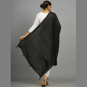 Black Thread Embroidery Chanderi Silk Dupatta - Image 6
