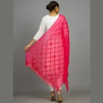 Fuchsia Sequins Long Chunni Indian Lightweight Stole - Image 5