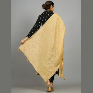 Hand Embroidery Sequins Dupatta Beige Party Wear - Image 5