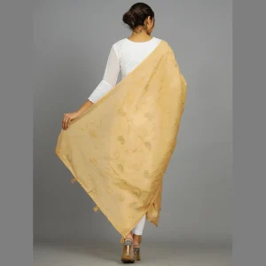Traditional Beige Sequence / Thread Embroidery Dupatta - Image 4