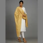 Women's Beige Chanderi SilkĀ Dupatta - Image 4