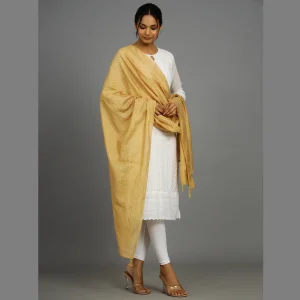 Women's Beige Chanderi Silk Dupatta - Image 4