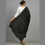 Women's Chanderi Silk Black Dupatta - Image 6