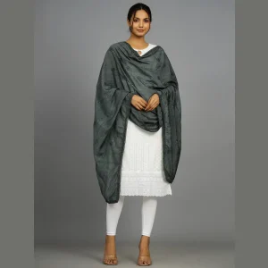 Women's Green Embroidered Chanderi Silk Dupatta - Image 4