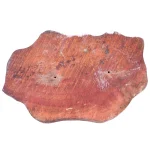 Indian Elephant Printing Block Textile Stamp - Image 3