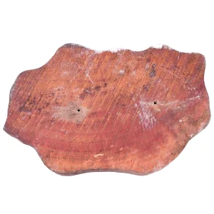 Indian Elephant Printing Block Textile Stamp - Image 3