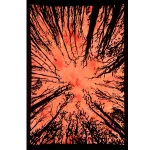 Orange Forest Tree Printed Cotton Tapestry - Image 2