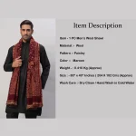 Cashmere Maroon Paisley Winter Wool Shawl - Image 8