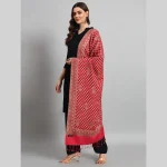 Pashmina Pink Check & Paisley Pattern Stole / Scarf - Image 4