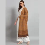 Winter Warmer Wrap Brown Paisley Stole - Image 4