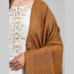 Winter Warmer Wrap Brown Paisley Stole - Image 5