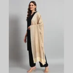Winter Wrap Warm Scarf Women Casual Beige Paisley Stole - Image 4