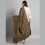 Women Oversized Wrap Green & Brown Wool Shawl - Image 6