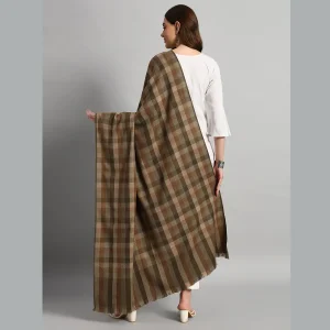 Women Oversized Wrap Green & Brown Wool Shawl - Image 6