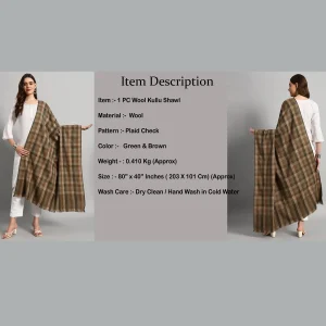 Women Oversized Wrap Green & Brown Wool Shawl - Image 9