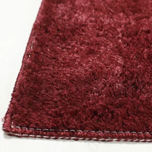 26x16 inch Indoor Maroon Color Door Mats - Image 3