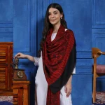 Red And Black Paisley Women's Stole