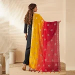 Elegant Chinnon Dupatta Yellow & Maroon Embroidered Sequin Stole Scarf - Image 7