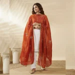 Premium Women’s Chiffon Dupatta Golden Sequin Work Ethnic Stole Scarf - Image 3