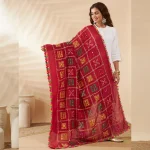 Premium Women’s Cotton Maroon Embroidered with Mirror Work Phulkari Style Scarf - Image 6