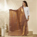 Women’s Copper Brown Chiffon Dupatta with Golden Sequin Work Ethnic Stole - Image 4